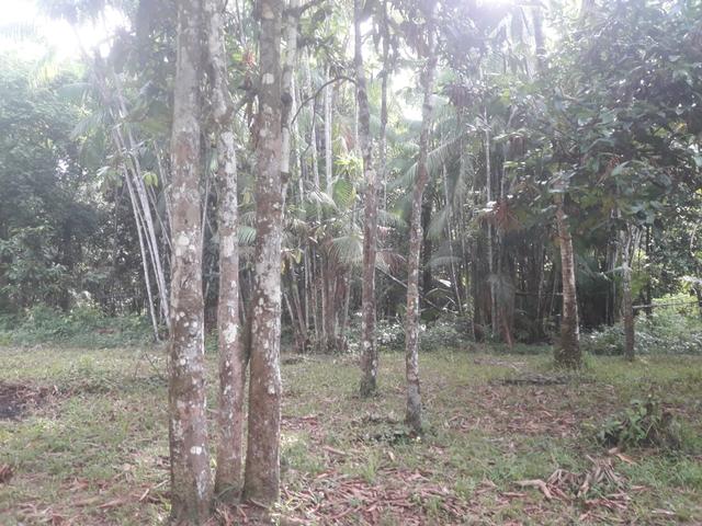 Pronto p/ construir, na pista da PA Colares - Foto 5