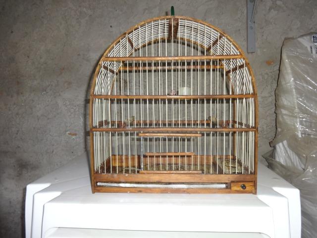 Gaiolas - Foto 6