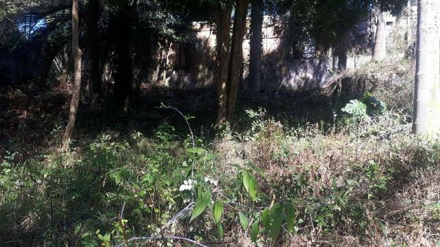 Terreno tereza glazer 420 m2