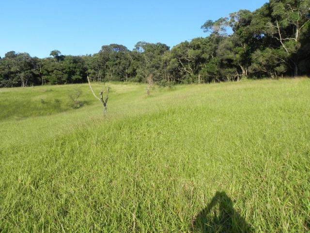 GE Compre agora seu terreno 1000m2 em mariporã para o final do ano - Foto 2