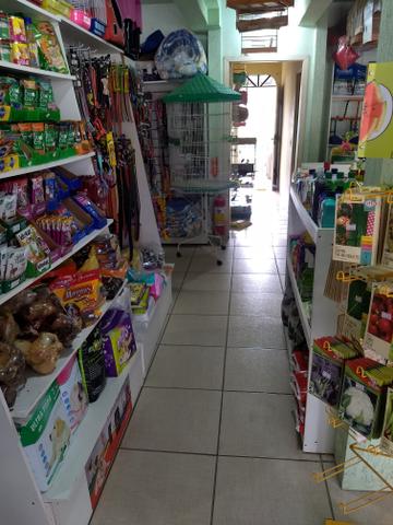 Vendo agropecuária mais de 20 anos - Foto 12