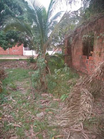Venda de um excelente terreno - Foto 3