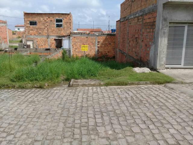 Tereno */ - Foto 3