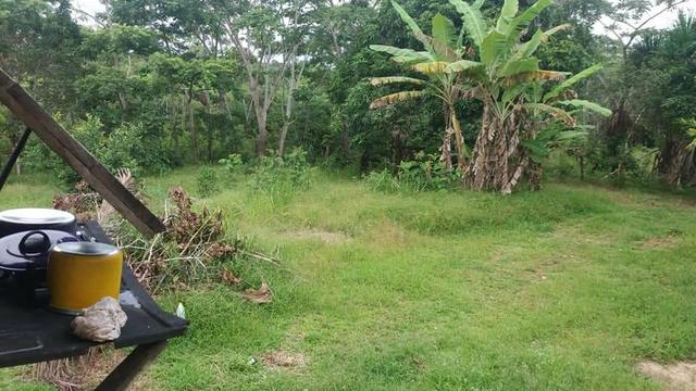 Venda essa chácara - Foto 6