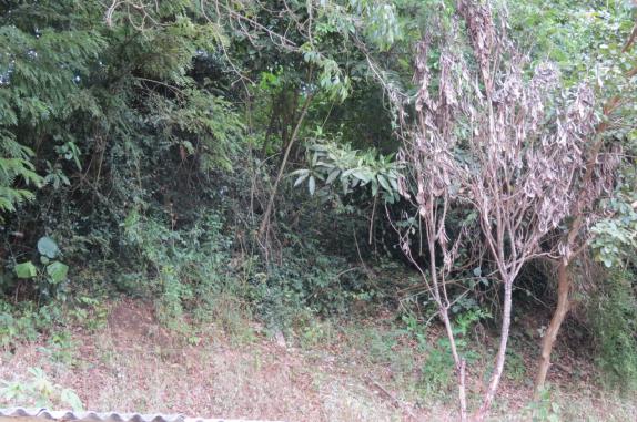 Casa à venda com 3 dormitórios em Centro, Prados cod:685612 - Foto 15