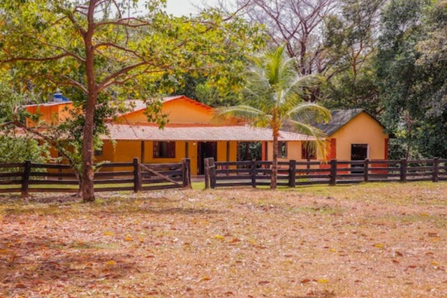 Fazenda em Rio Sono. 60 mil o alqueire. - Foto 4