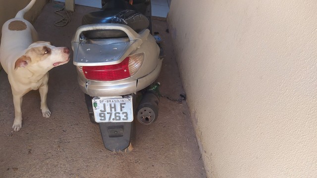 SUZUKI BUGMAN 2008