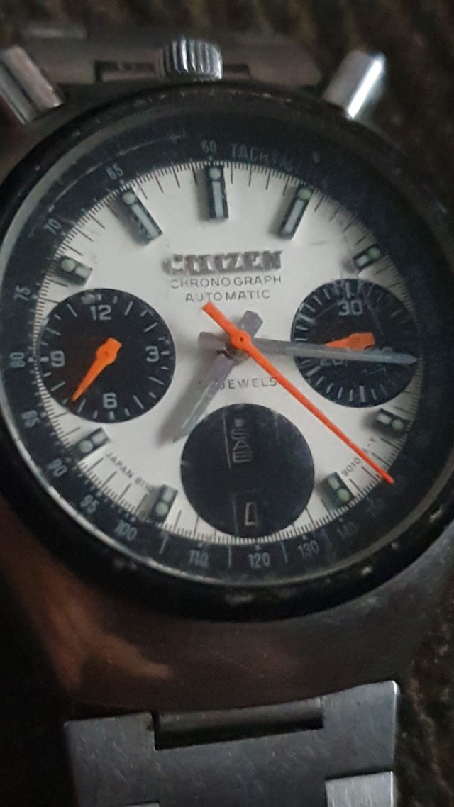 citizen bullhead olx