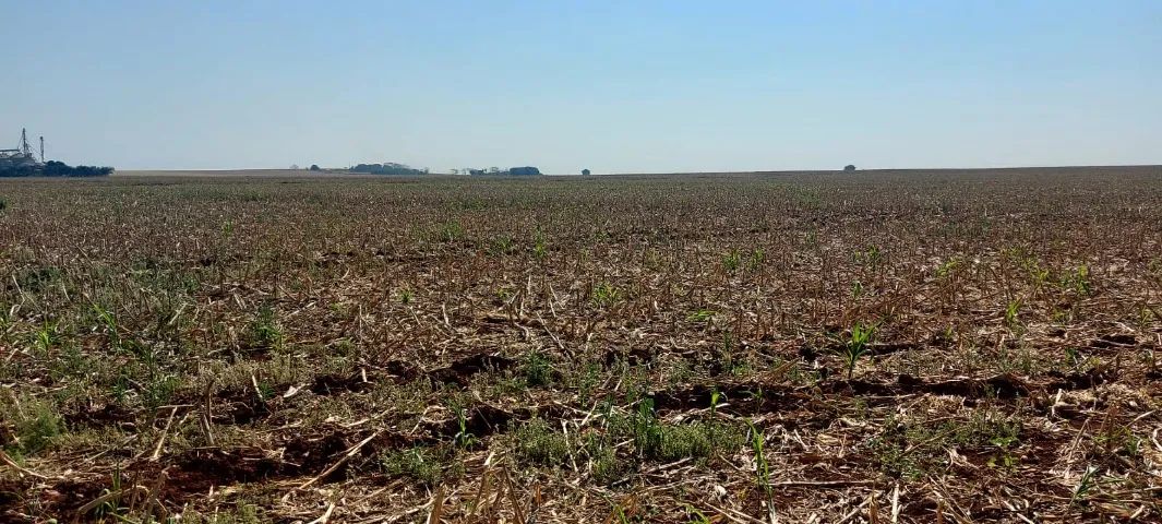 Sitio de 38,72 hectares com terra de cultura