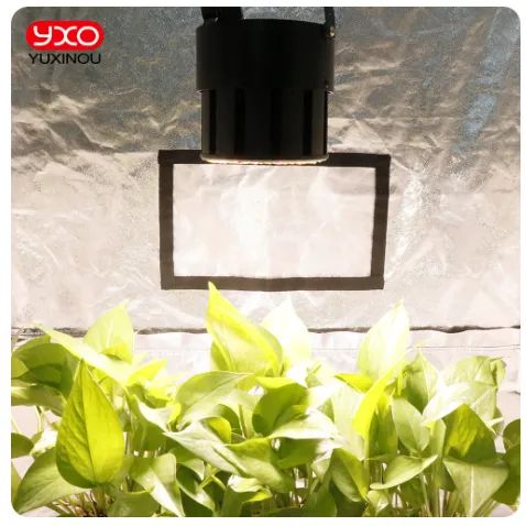 Quantum Board 150w Yxo LM301H - Foto 4