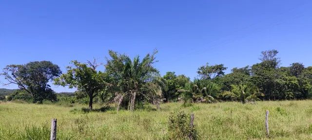 Fazenda em Pontalina  - Foto 5