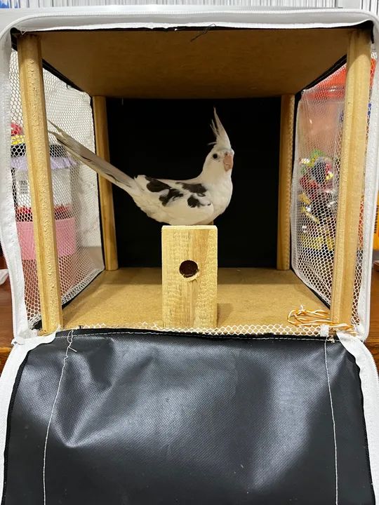 Bolsa de Transporte - CALOPSITAS - Foto 2