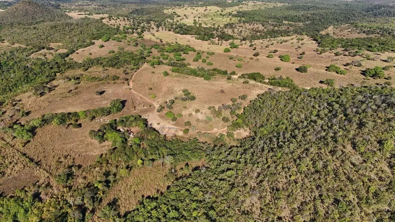 FAZENDA - PALMAS