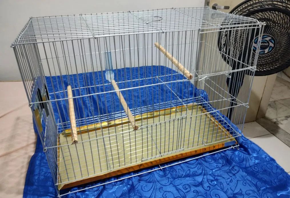 Gaiola Viveiro Calopsita GRANDE Zincada Premium - Nova - Foto 3