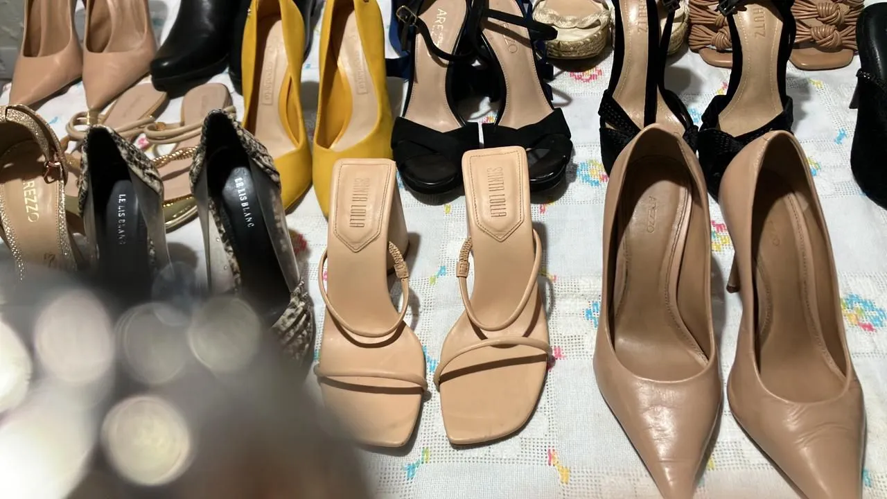Coleção de sapatos femininos variados