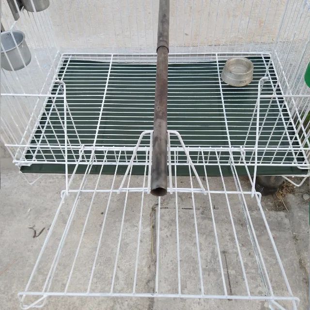 Viveiro Calopsita - Foto 4