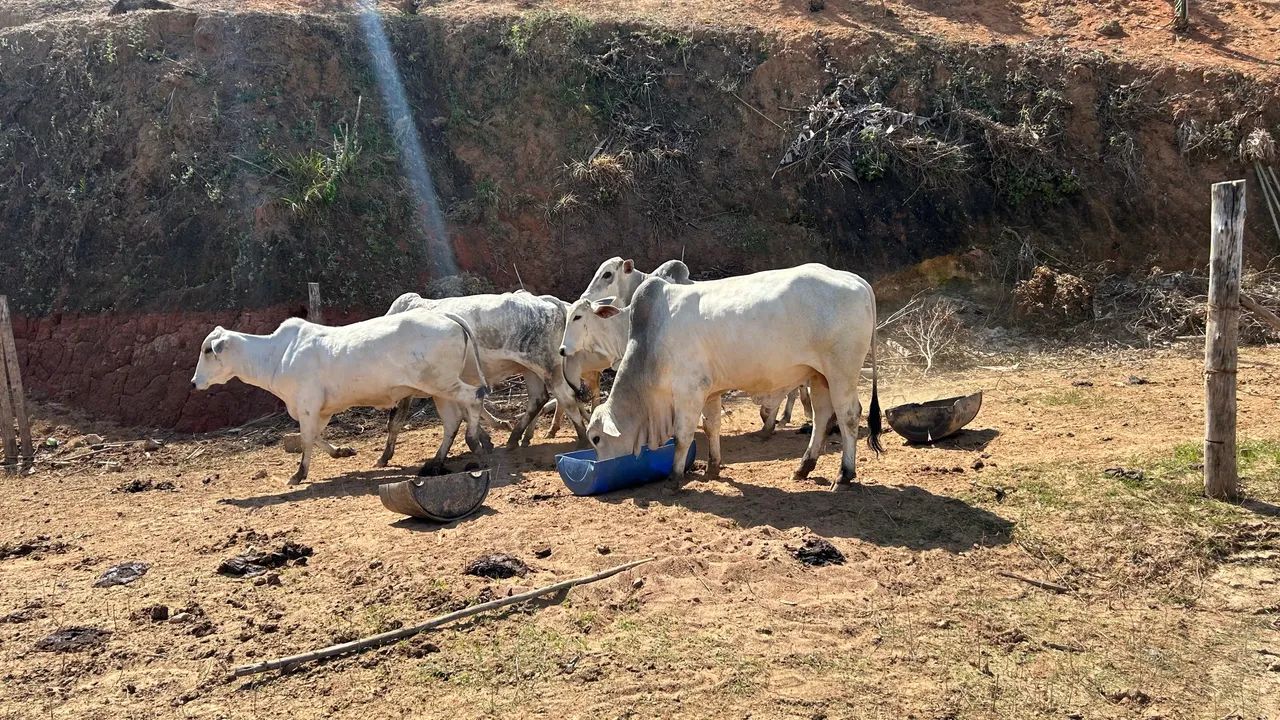 Fazenda Frente da Represa de Paraibuna.
