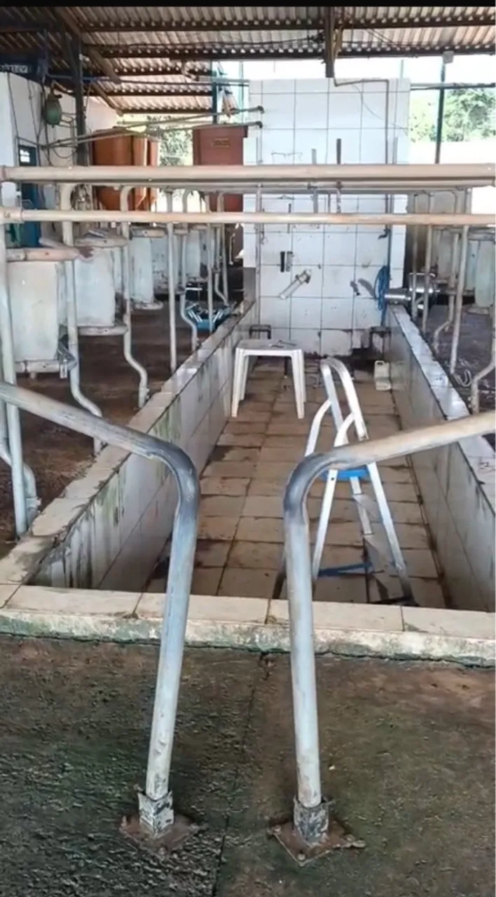 Vendo contenção para 7 vacas/ 7x2