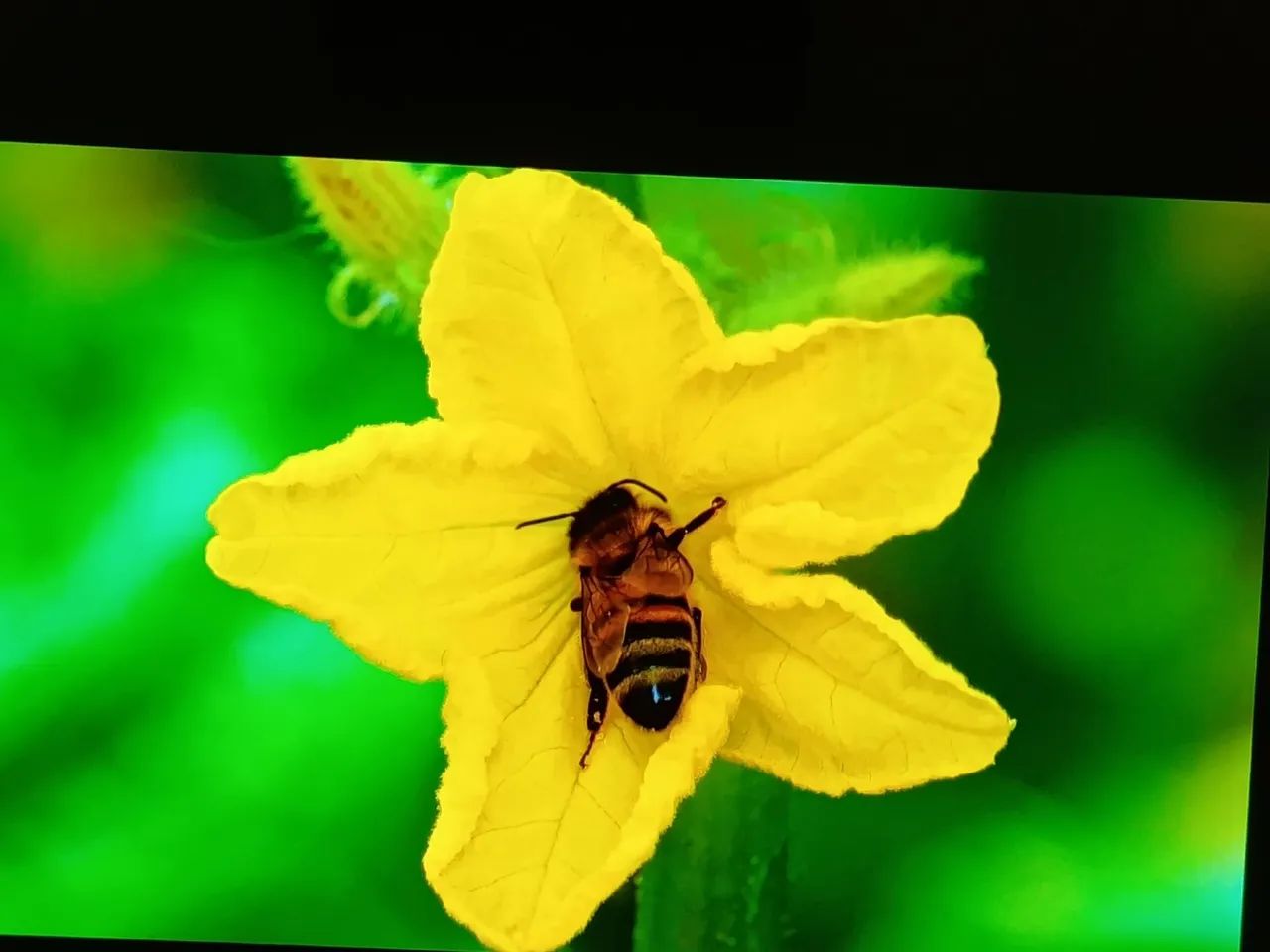 Smart TV LG com sistema operacional WebOS - Foto 3