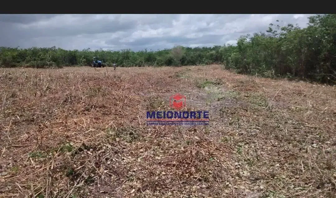 Fazenda com 1 dormitório à venda, 2400000 m² por R$ 1.300.000 - Primeira Cruz - Primeira C