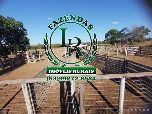 fazenda dupla Aptidão Tocantins - Foto 3