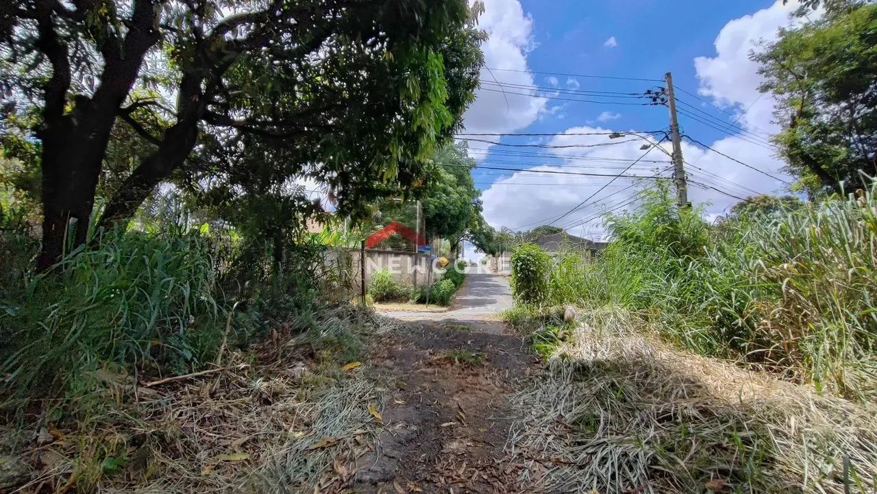 Lote em Rua José Simplício Moreira - Trevo - Belo Horizonte/MG - Foto 6