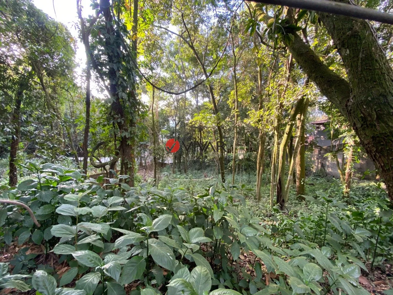 Lote à venda em condomínio fechado em Nova Lima
