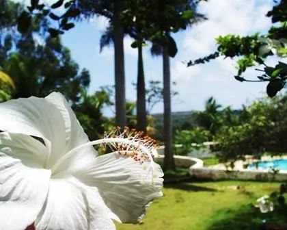 Granja próxima a Praia Bela, Jacumã e Tambaba - TEMPORADA ou CONTRATO - Foto 6