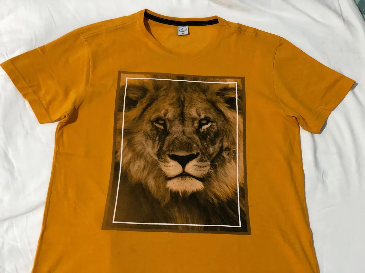 Camiseta Leão - Estilo e Presença!