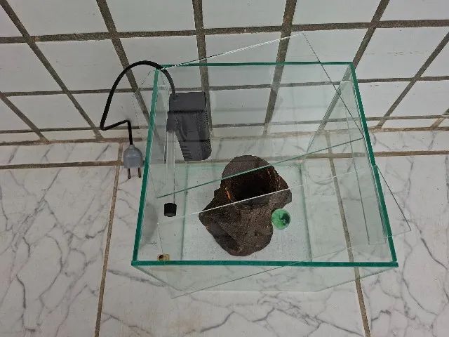 Aquário Cubo 13L com Filtro e Enfeite - Foto 3