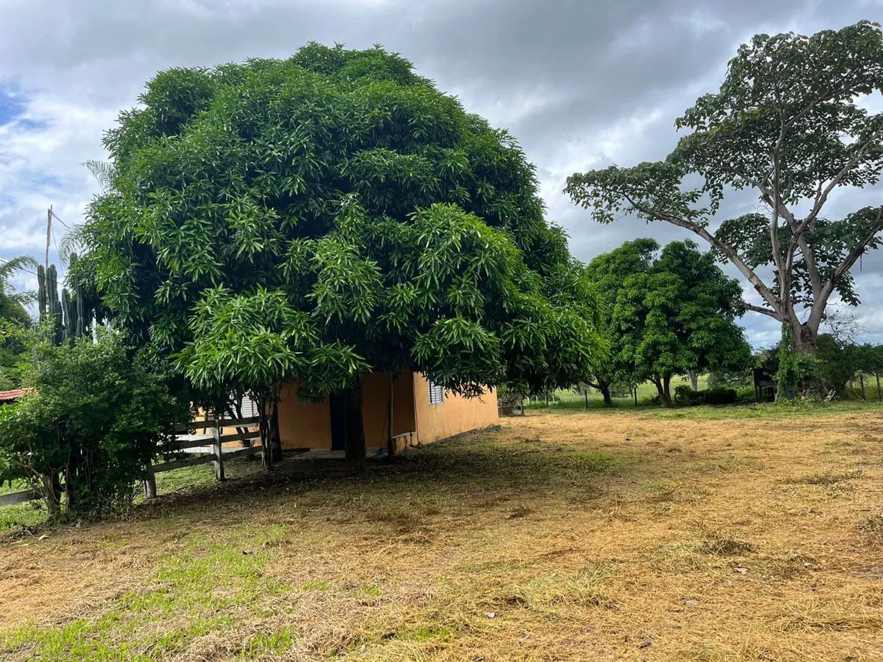 SÍTIO PRÓX CUIABÁ 16 HECT  - Foto 2