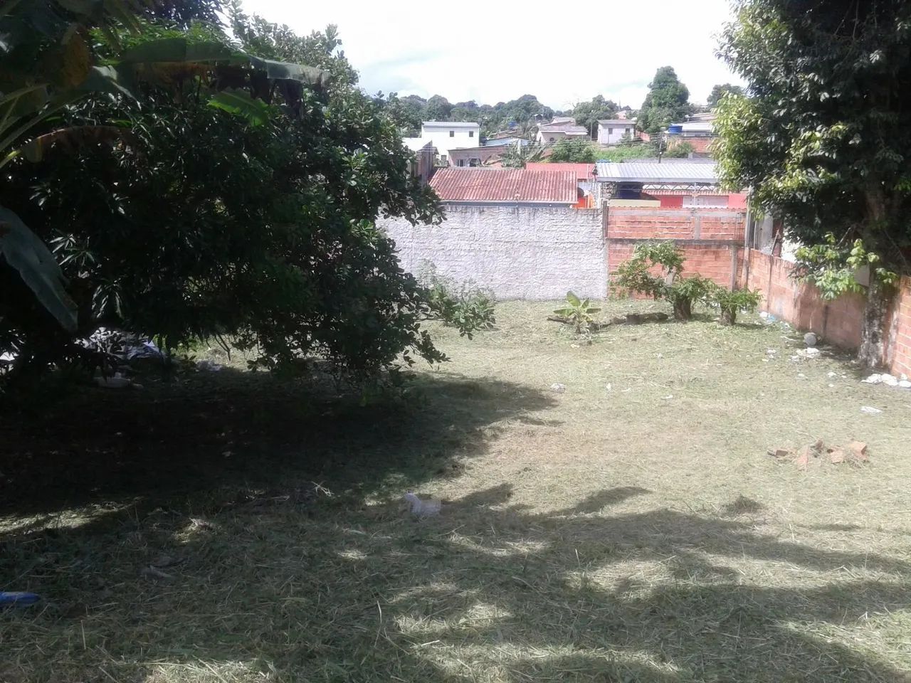 foto - Manaus - Colônia Terra Nova