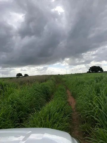 Fazenda com 590 hectares na região de Monte Alegre estruturada - Foto 4