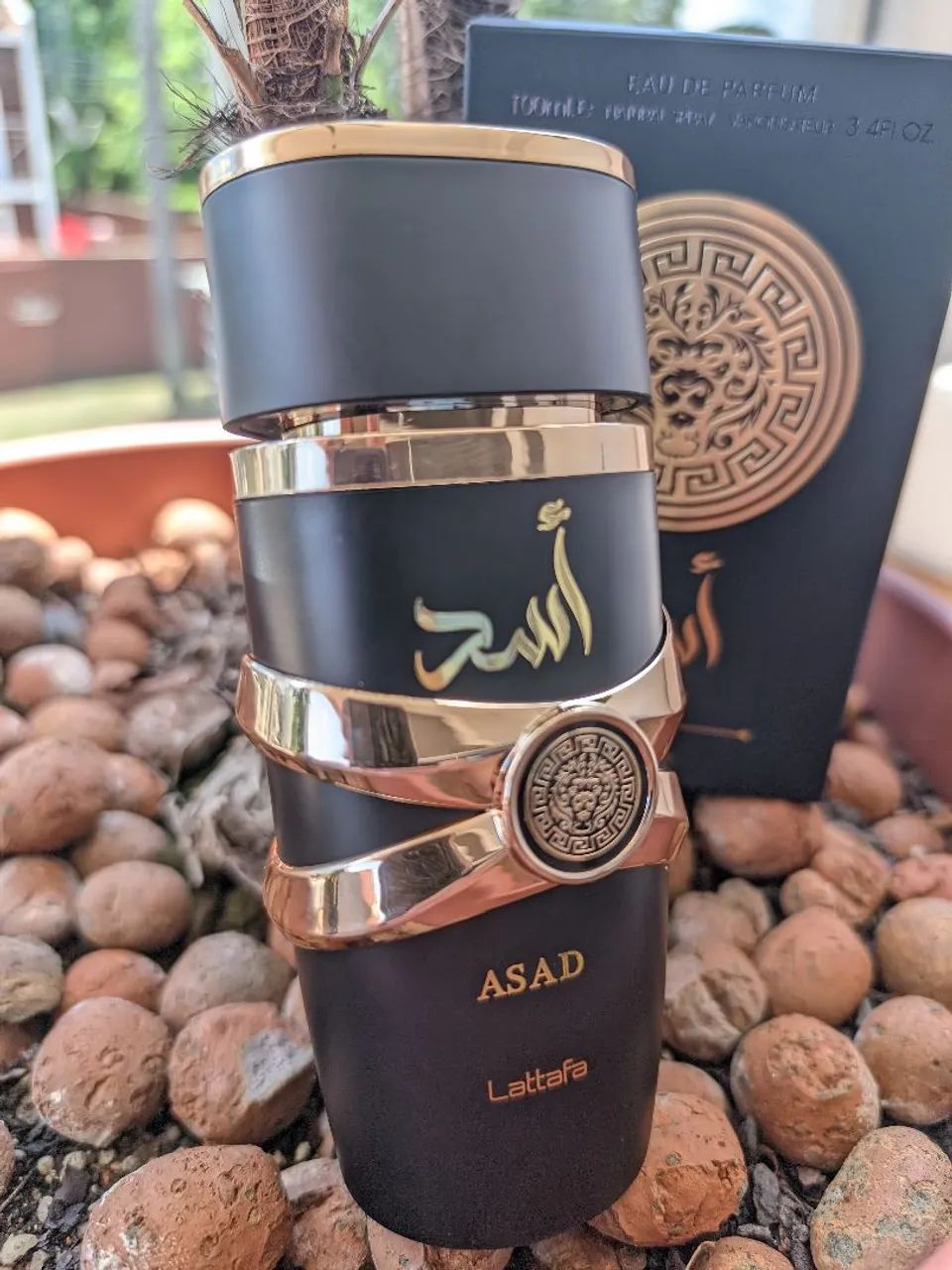 Perfume Asad Lattafa - Masculino - 100ml - Foto 3