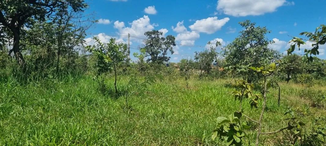 Glebas de 20.000M² no Jardim do Lago em Juatuba - MG - Foto 9