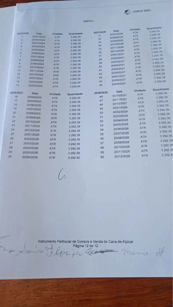 Sitio a venda  - Foto 5