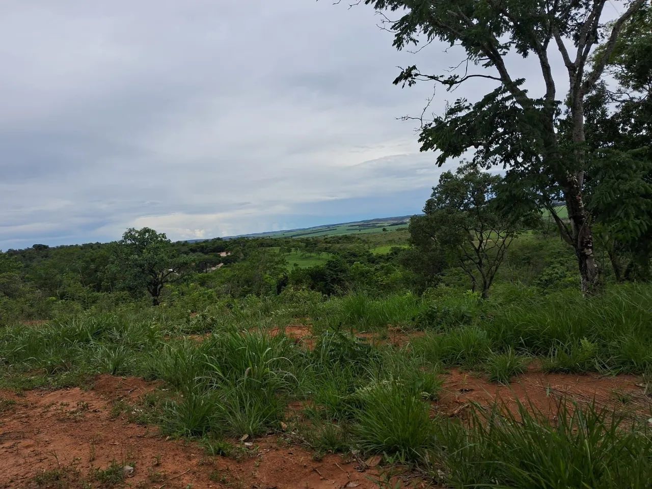 Foto - Anápolis - São Carlos
