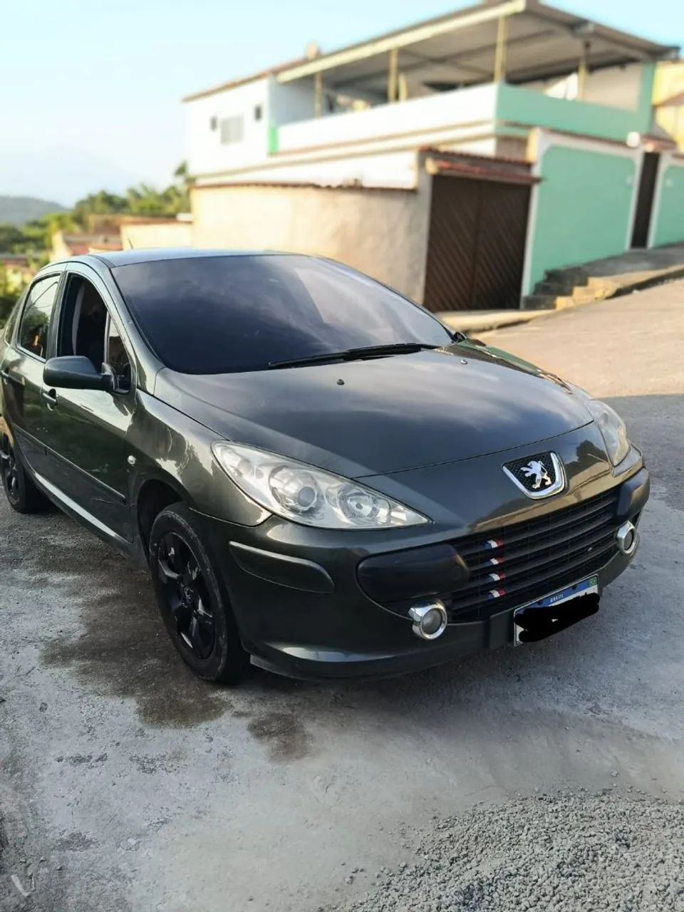 Peugeot 307 307 Sed. Feline 2.0/2.0 Flex 16V 4p Mec. 2008