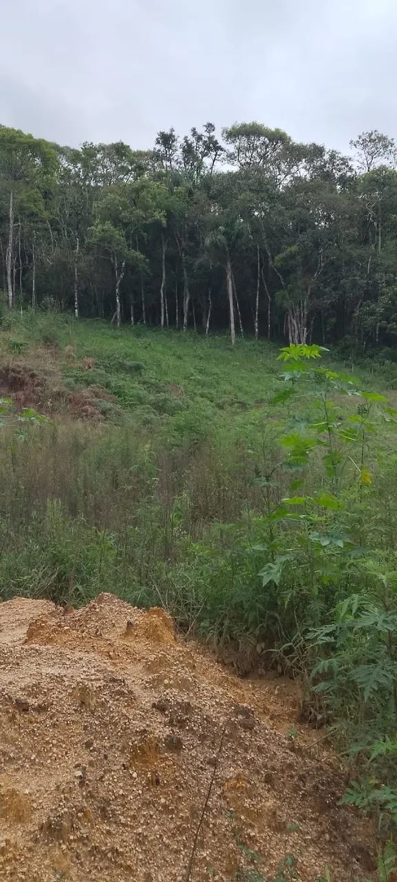Terreno chácara piedade - Foto 2