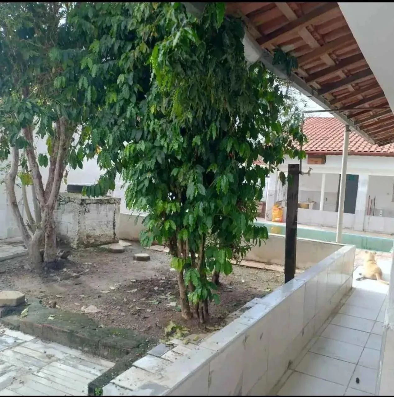 Excelente localizaç ão  - Foto 2