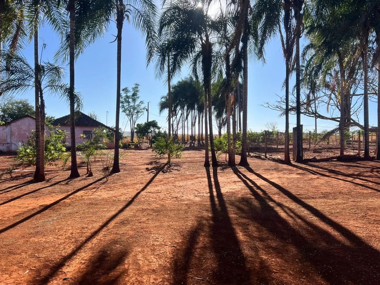 Fazenda à venda 2 alqueires e meio  - Foto 3