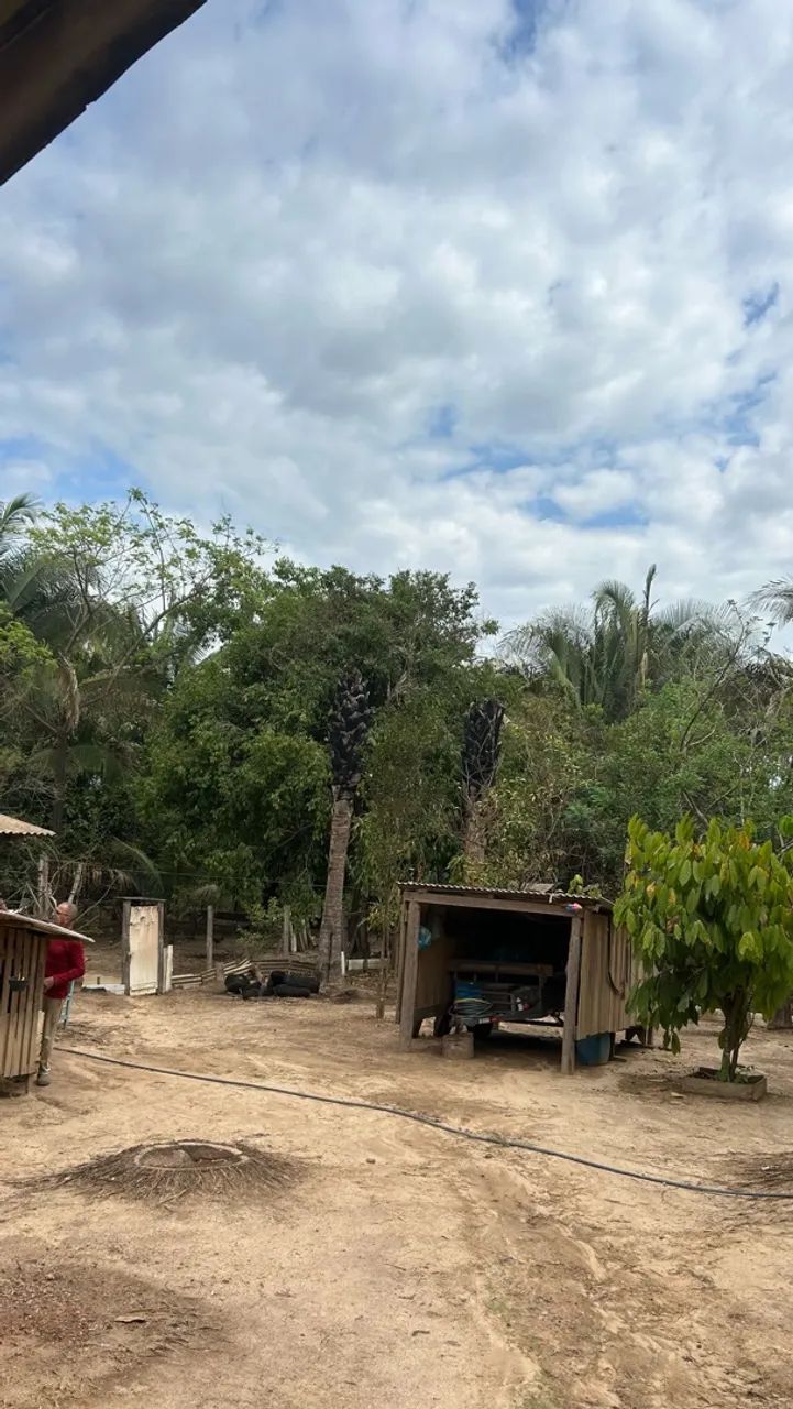 Chácara a Venda  - Foto 4