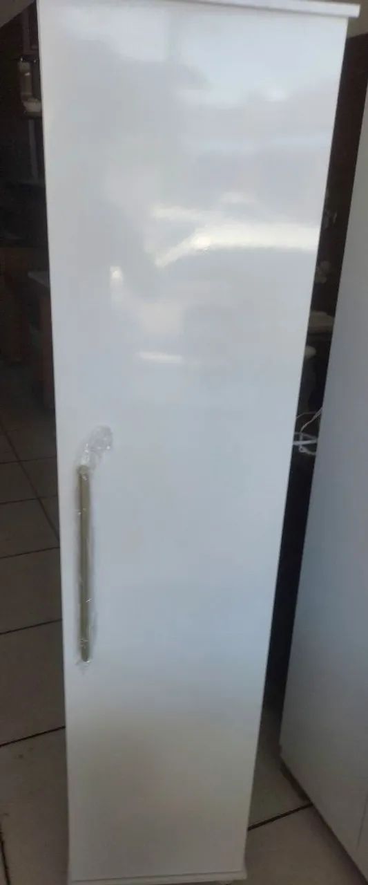 Single-door multipurpose cabinet (new)