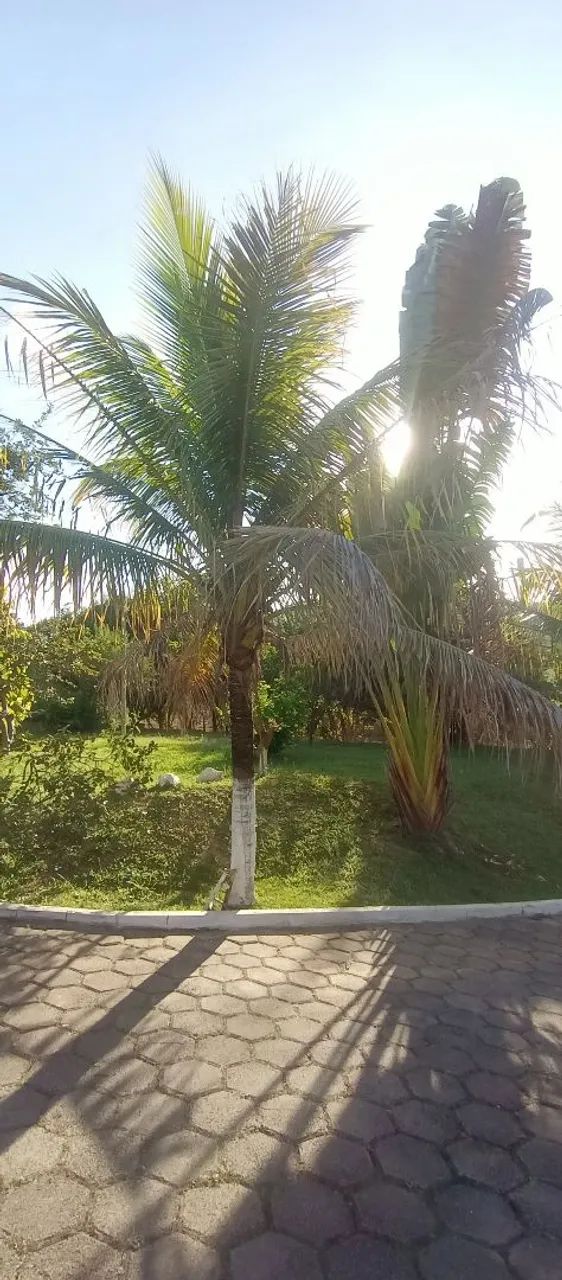 Sítio para locação  - Foto 2
