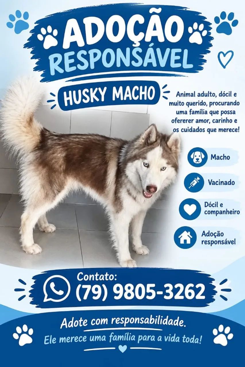 HUSK SIBERIANO 