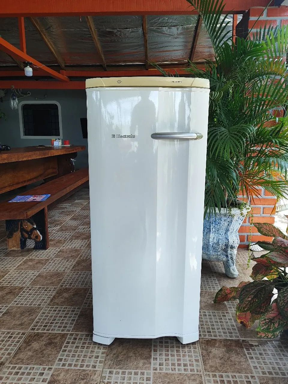 Freezer vertical Electrolux 