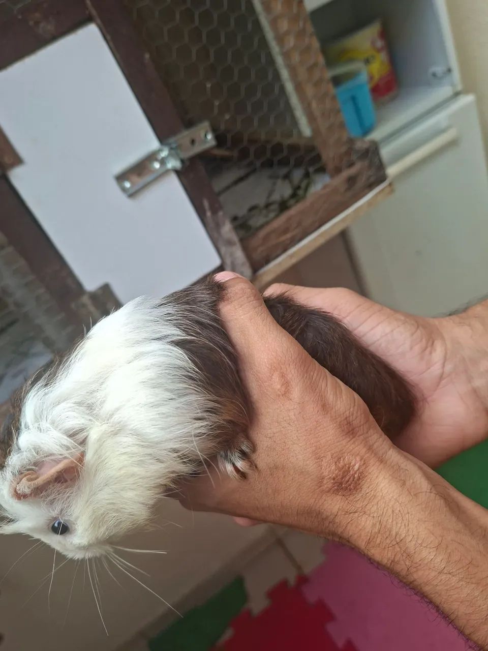 Doação  - Foto 4