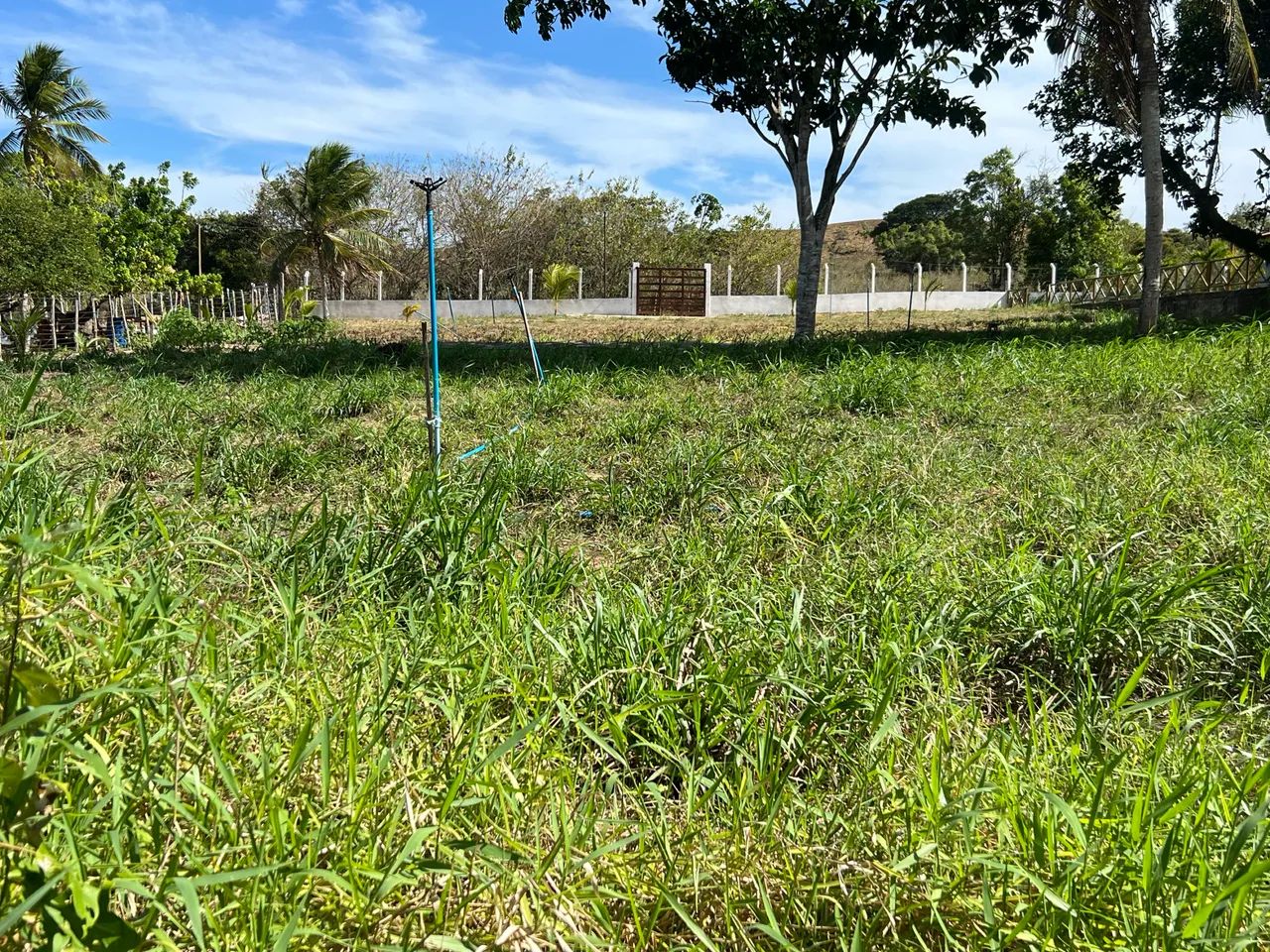 Vendo terreno top  - Foto 3