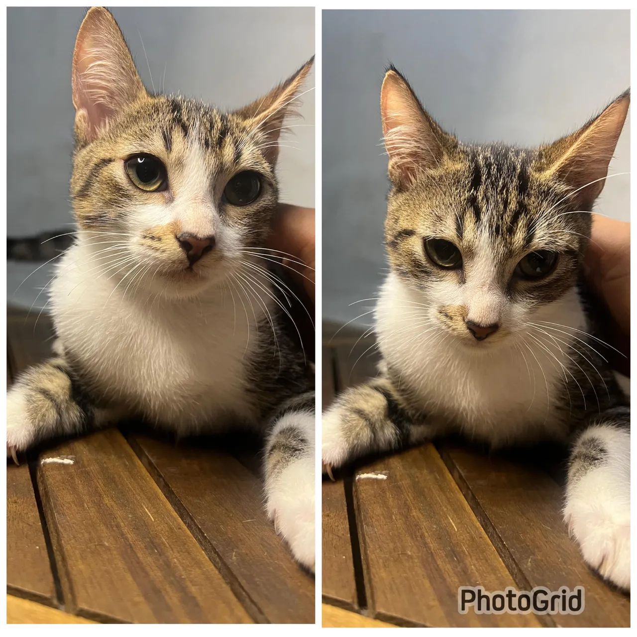 Doação responsável 