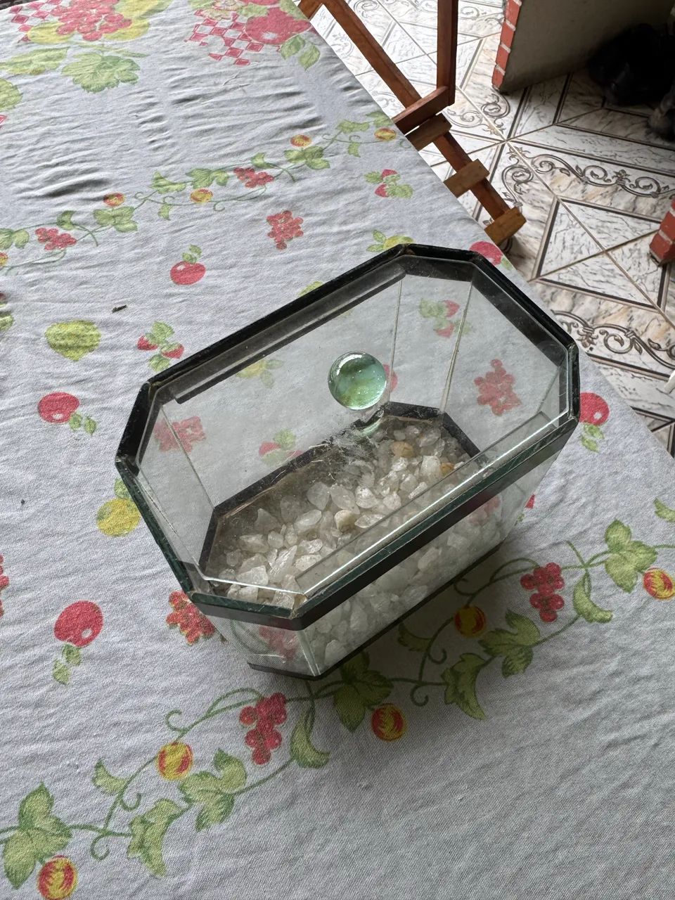 Aquário para Peixe Betta  - Foto 3